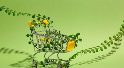 eco e-commerce